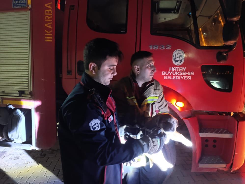 Hatay’da kuyuya düşerek mahsur kalan yavru köpek, itfaiye ekiplerinin zamanında