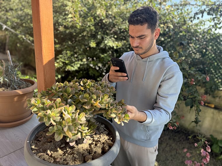 Hataylı genç girişimci, geliştirdiği mobil uygulamayla bitki türü tanımlama ve