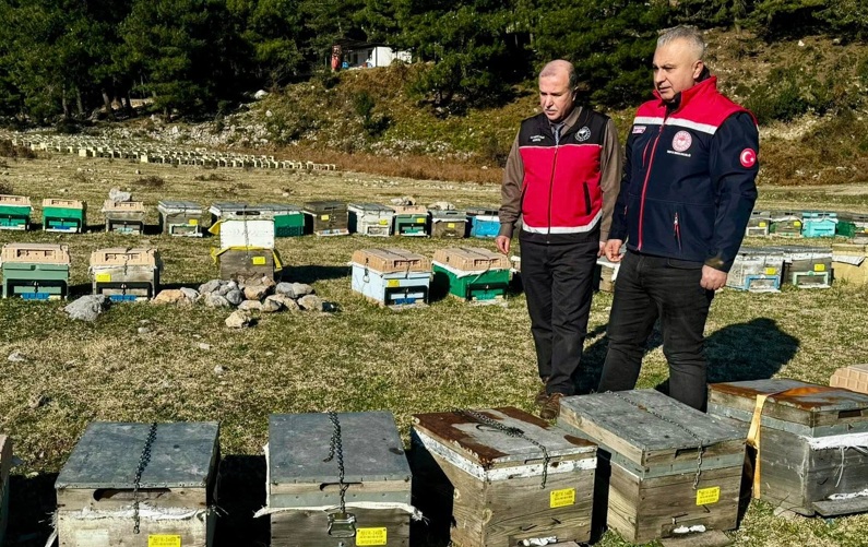 Hatay Tarım ve Orman İl Müdürü Abdurrahman Türkmen, Payas ilçesinde