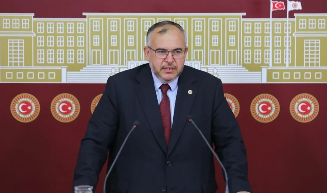 Hatay Milletvekili Doç. Dr. Necmettin Çalışkan, Türkiye Büyük Millet Meclisi