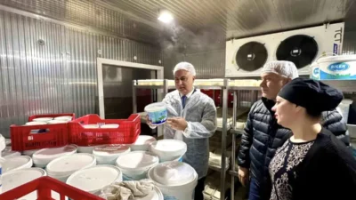 Hatay İl Tarım ve Orman Müdürlüğü ekipleri, Antakya ilçesinde faaliyet