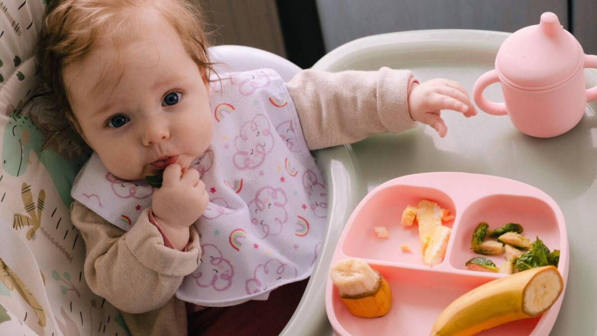 Her Yaşta Sağlıklı Beslenme: Adım Adım Rehber