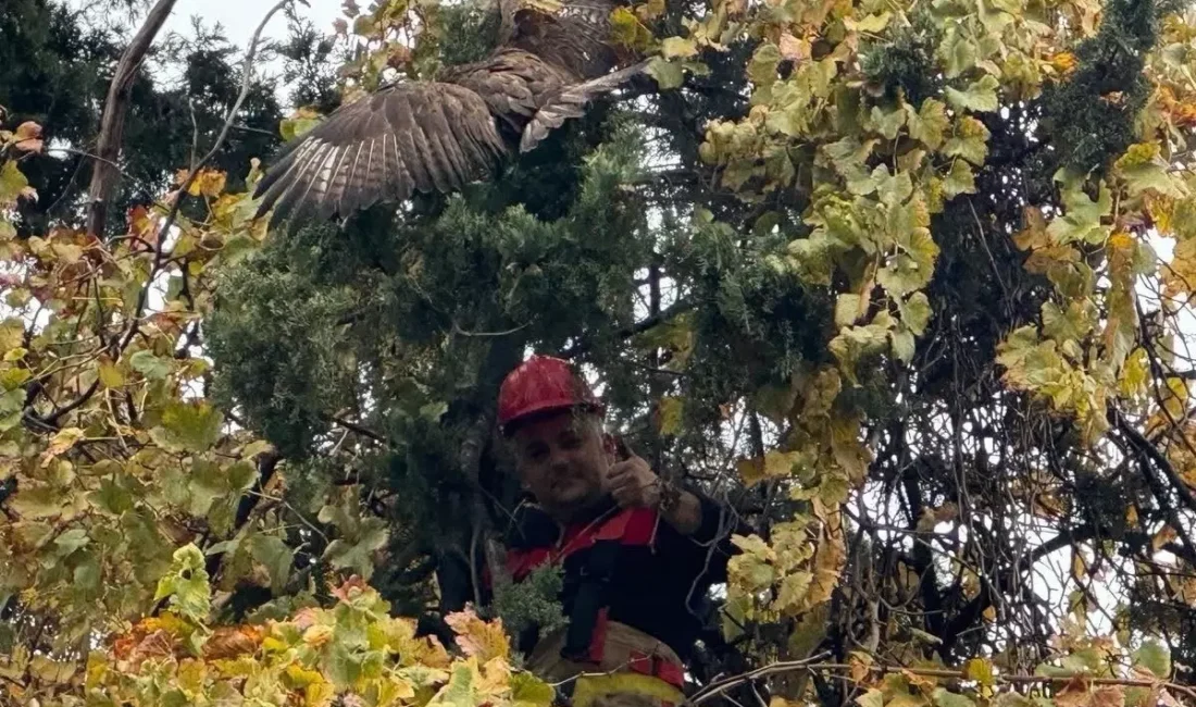 Hatay’ın Dörtyol ilçesinde yürekleri ağza getiren bir kurtarma operasyonu yaşandı.