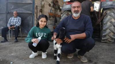 Hatay’da annesi telef olan bir kuzuyu sahiplenen amca ve yeğen,