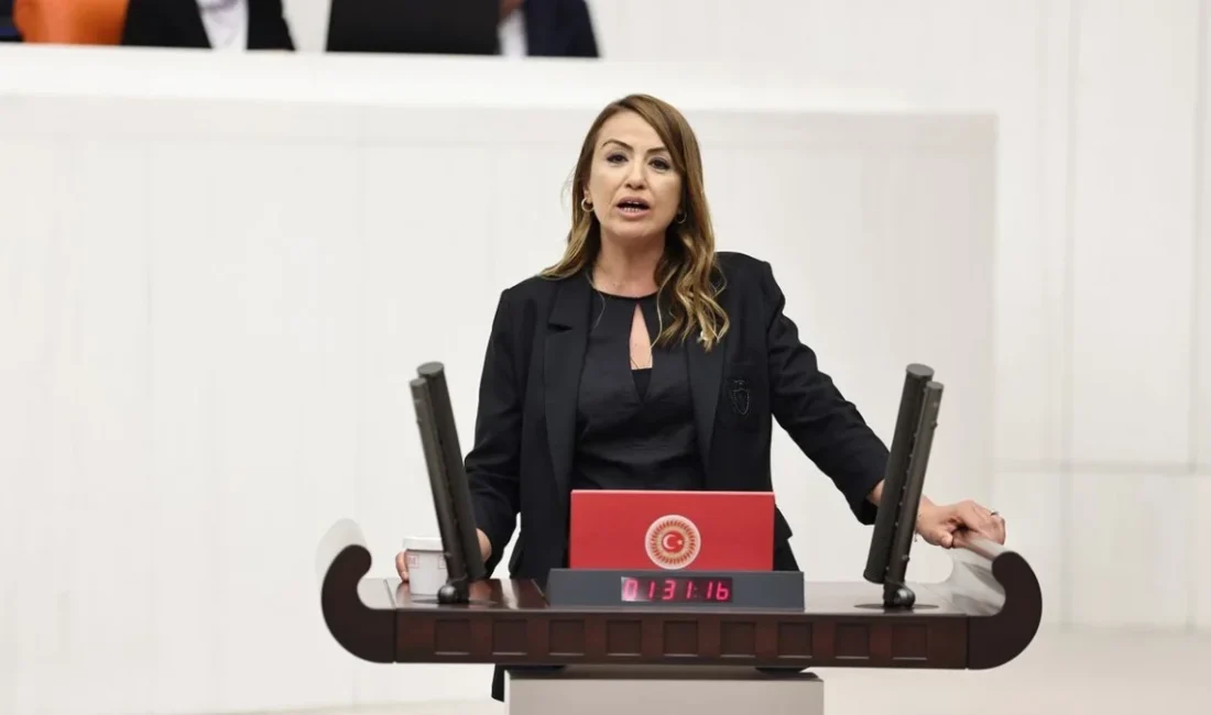 Kamu Özel İşbirliği (KÖİ) modeliyle hizmete açılan şehir hastaneleri için