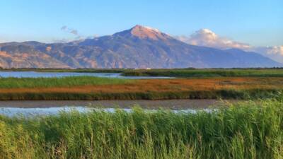 Samandağ Çevre Koruma ve Turizm Derneği öncülüğünde, Türkiye’nin alanında öncü