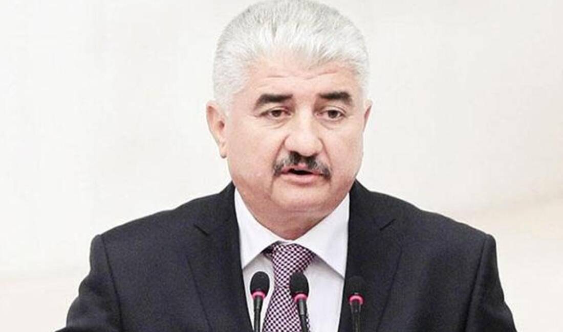 AKP'li eski vekil Hacı Bayram Türkoğlu, Michael Rubin'in Hatay ile