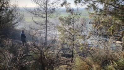 Hatay’ın Arsuz ilçesinde ormanlık alanda çıkan yangın, ekiplerin hızlı müdahalesi