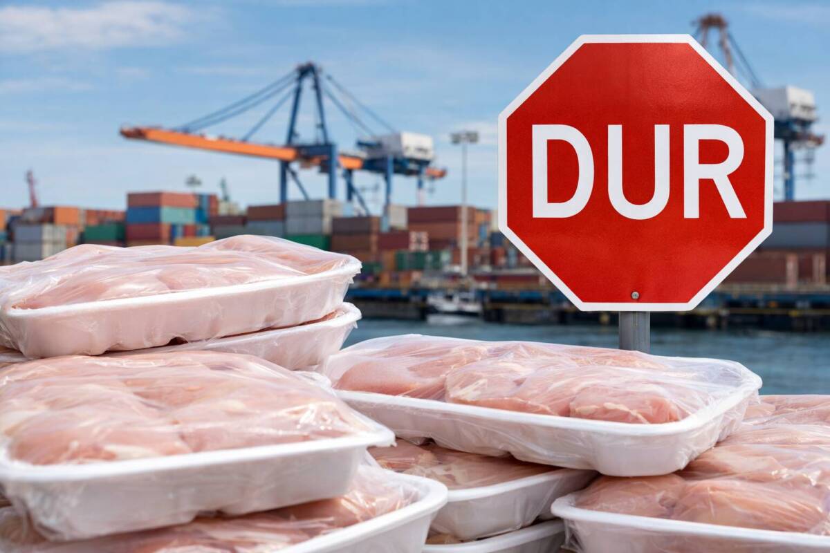 Ramazan ayına sayılı günler kala tavuk fiyatlarında yaşanan yaklaşık yüzde