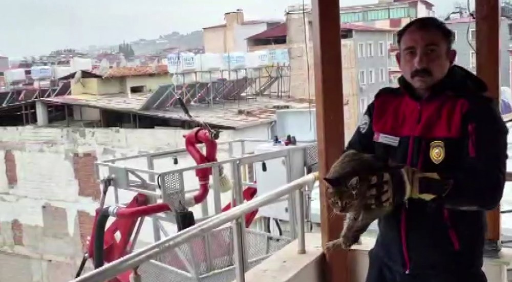 Hatay’ın Kırıkhan ilçesinde 7. katta mahsur kalan bir kedi, itfaiye