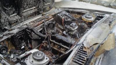 Hatay’ın Dörtyol ilçesinde park halindeki bir otomobilin motor kısmında çıkan