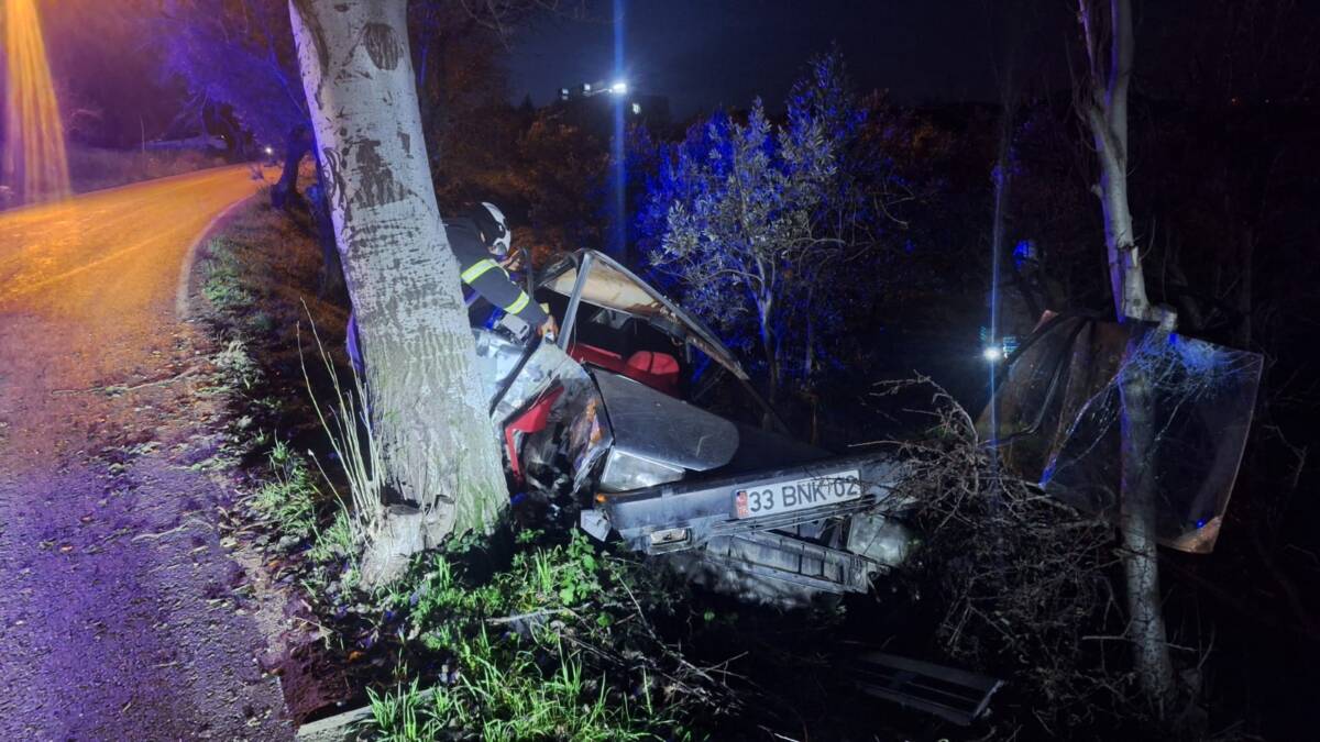 Hatay’ın Altınözü ilçesinde meydana gelen trafik kazasında, otomobilin yol kenarındaki