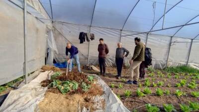 TEMA Vakfı ile Yayladağı Belediyesi iş birliğinde yürütülen Toprak ve