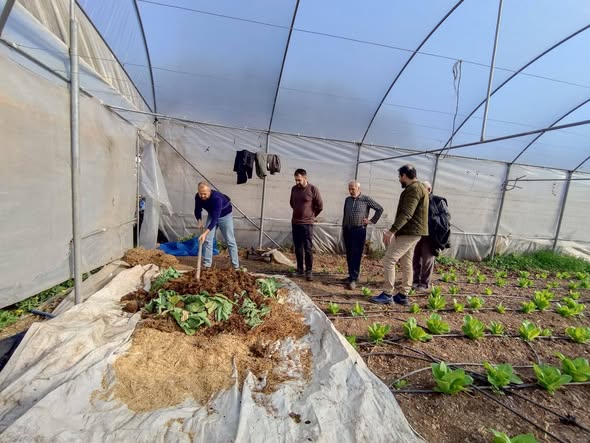 TEMA Vakfı ile Yayladağı Belediyesi iş birliğinde yürütülen Toprak ve