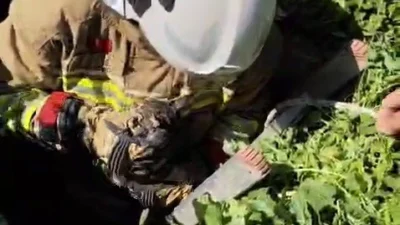 Hatay’ın Antakya ilçesinde, atık su deposuna düşerek mahsur kalan bir