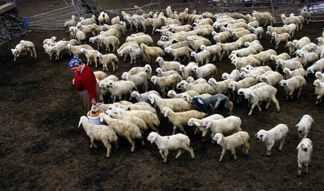 Mersin Büyükşehir Belediyesi’nin “Hadi Gel Köyümüze Destek Verelim” projesi, kırsal