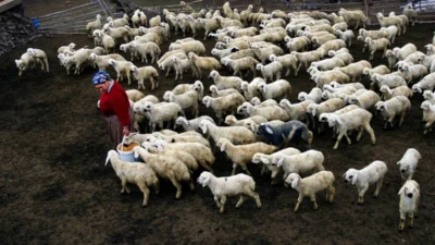 Mersin Büyükşehir Belediyesi’nin “Hadi Gel Köyümüze Destek Verelim” projesi, kırsal