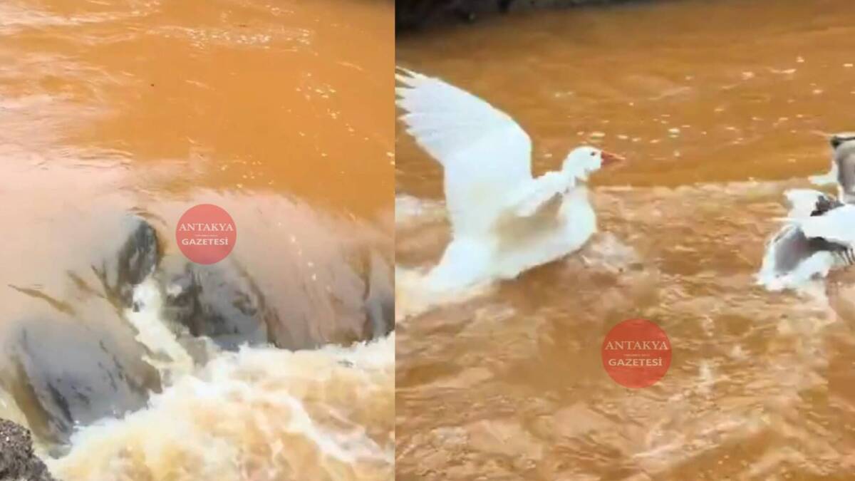 Hatay’ın Antakya ilçesine bağlı Serinyol Mahallesi’ndeki Tahtaköprü’de, 7 yıldır kuruyan