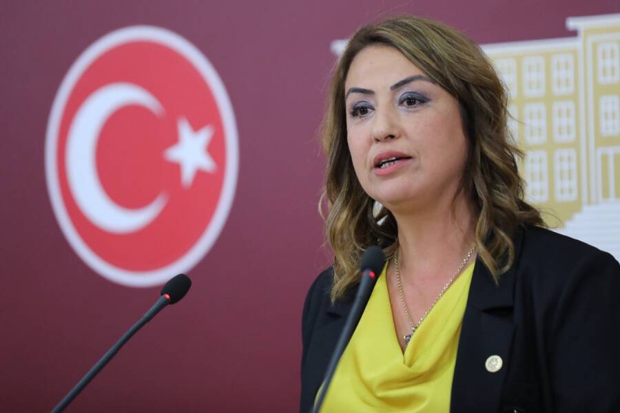 Nermin Yıldırım Kara, Türkiye Büyük Millet Meclisi’nin (TBMM) gündemine gelen