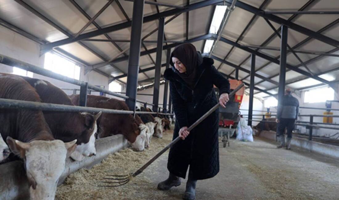 3 YILDA 800 BAŞ HAYVAN SAHİBİ… Göksun’da yaşayan girişimci Asiye
