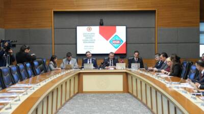 Türkiye Büyük Millet Meclisi’nde (TBMM) kurulan Suça Sürüklenen Çocuklara İlişkin