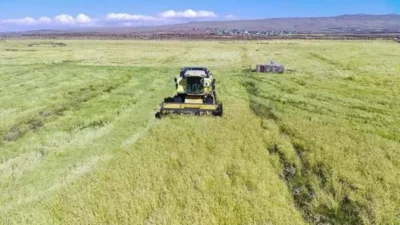 Tarım Kredi Kooperatifleri, gübre fiyatlarında kısa süre içinde ikinci kez