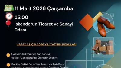 Hatay’da yatırımcı ve sanayicilere yönelik Yerel Kalkınma Hamlesi Teşvik Programı