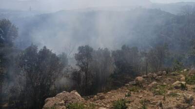 Hatay’ın Samandağ ilçesinde, ormanlık alanda çıkan yangın ekiplerin hızlı müdahalesi