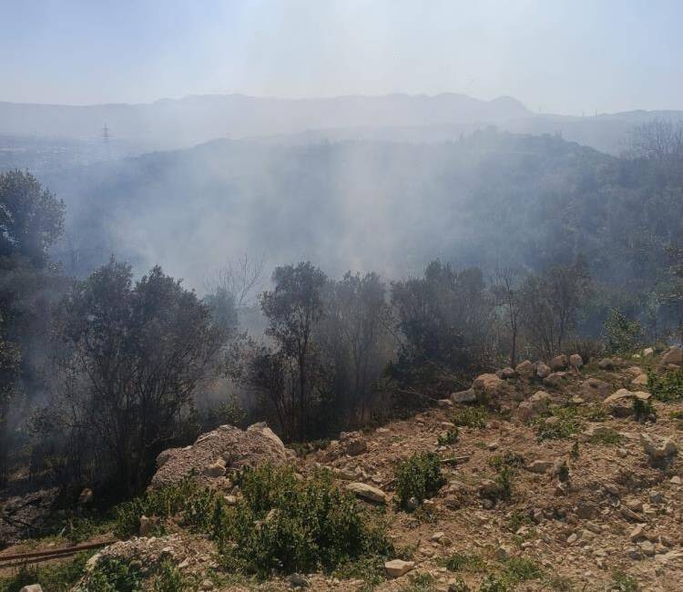 Hatay’ın Samandağ ilçesinde, ormanlık alanda çıkan yangın ekiplerin hızlı müdahalesi