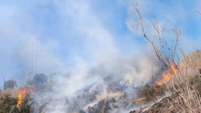 Defne’deki Çardaklı Mahallesi’ndeki yangın, itfaiyenin hızlı müdahalesiyle kontrol altına alındı.