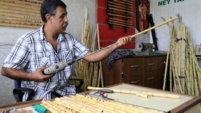Hatay’ın Samandağ ilçesinde sulak alanlarda yetişen kamışlar, bir yıl kurutulduktan