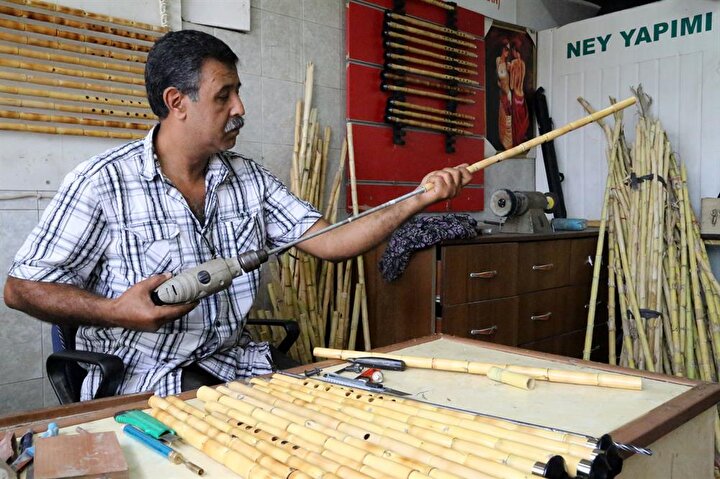 Hatay’ın Samandağ ilçesinde sulak alanlarda yetişen kamışlar, bir yıl kurutulduktan