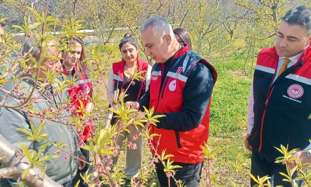 Hatay İl Tarım ve Orman Müdürlüğü, Defne ilçesinde üreticilere yönelik