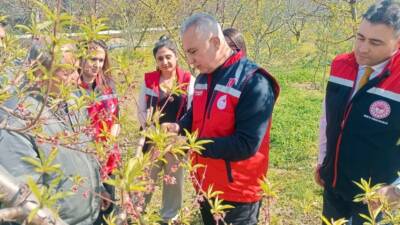 Hatay İl Tarım ve Orman Müdürlüğü, Defne ilçesinde üreticilere yönelik
