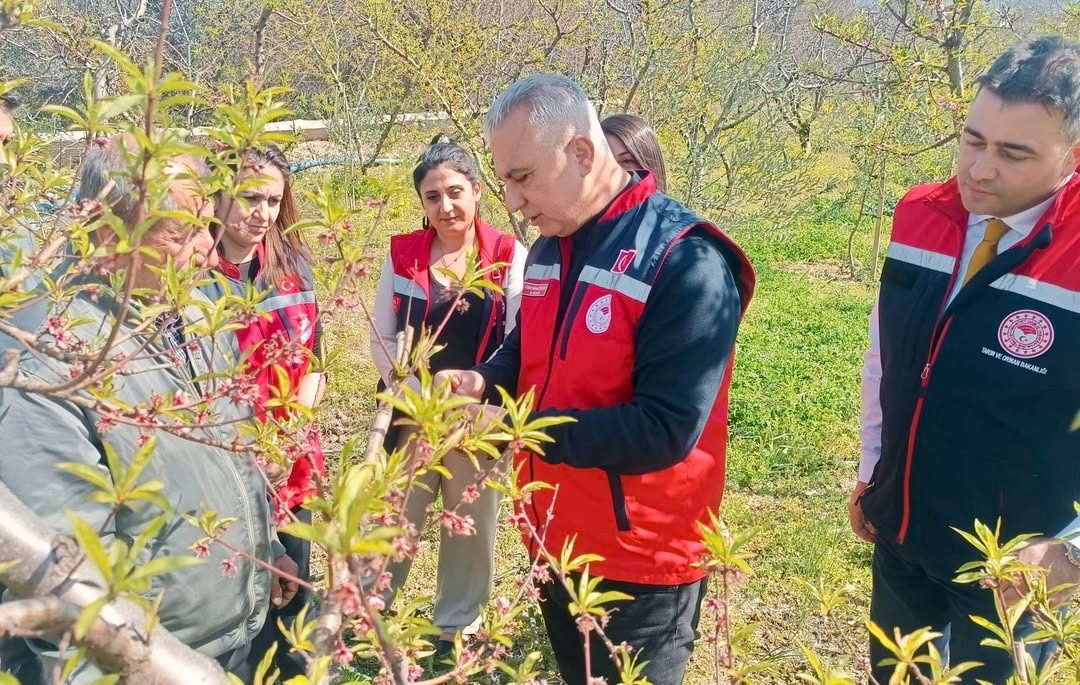 Hatay İl Tarım ve Orman Müdürlüğü, Defne ilçesinde üreticilere yönelik