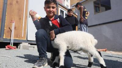Hatay'da annesi telef olan kuzuyu sahiplenen ve ona 'Boncuk' ismini