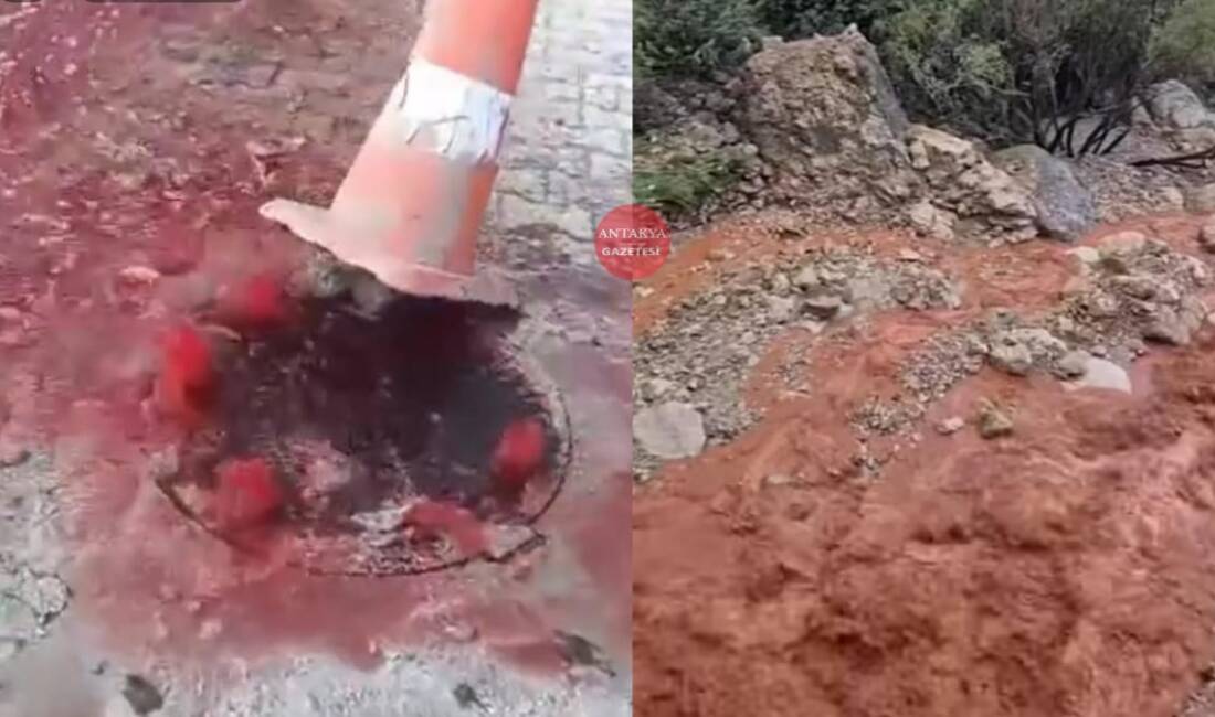 Hatay’ın Defne ilçesine bağlı Çekmece Mahallesi 166. Sokak’ta yaşayan bir