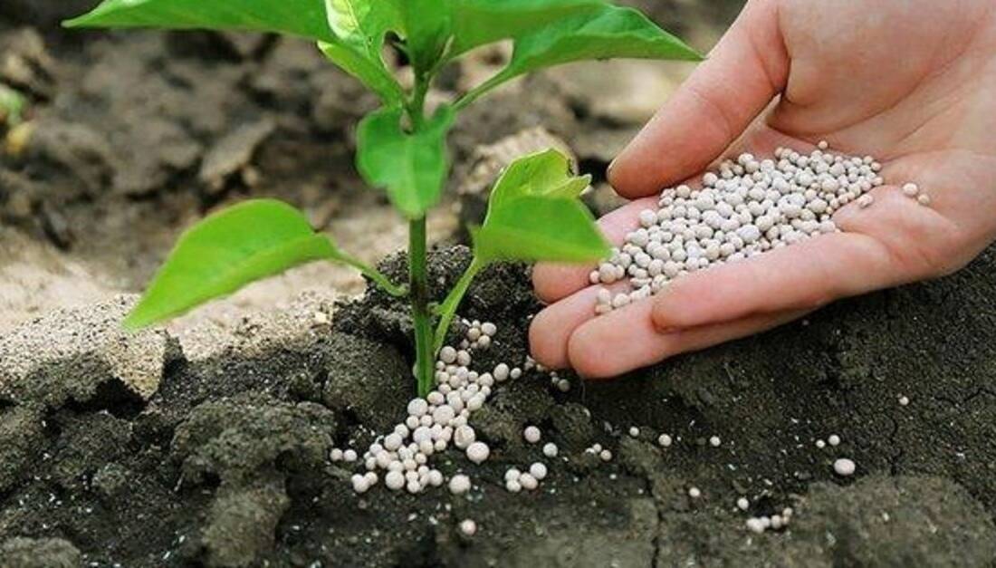 7 Mart 2026 tarihinden itibaren yürürlüğe giren kararla Üre cinsi