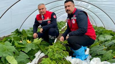 Hatay Tarım ve Orman İl Müdürü Abdurrahman Türkmen, Koordinasyon ve