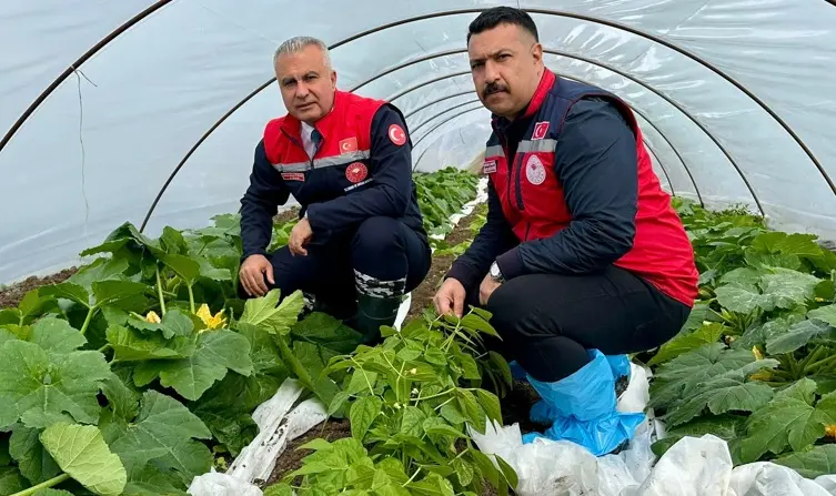 Hatay Tarım ve Orman İl Müdürü Abdurrahman Türkmen, Koordinasyon ve