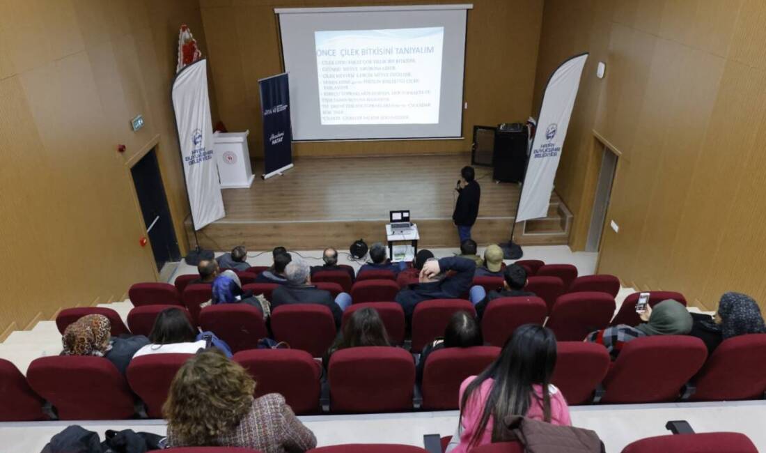 Hatay’da çilek yetiştiriciliği için HBB’den kapsamlı eğitim! Üreticiler teorik ve