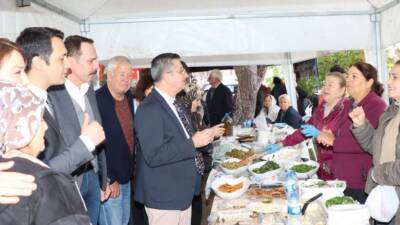 Hatay’ın Erzin ilçesine bağlı Turunçlu Mahallesi’nde bu yıl ilk kez