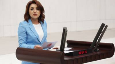 CHP Mersin Milletvekili Gülcan Kış, limon ithalatında gümrük vergisinin düşürülmesine