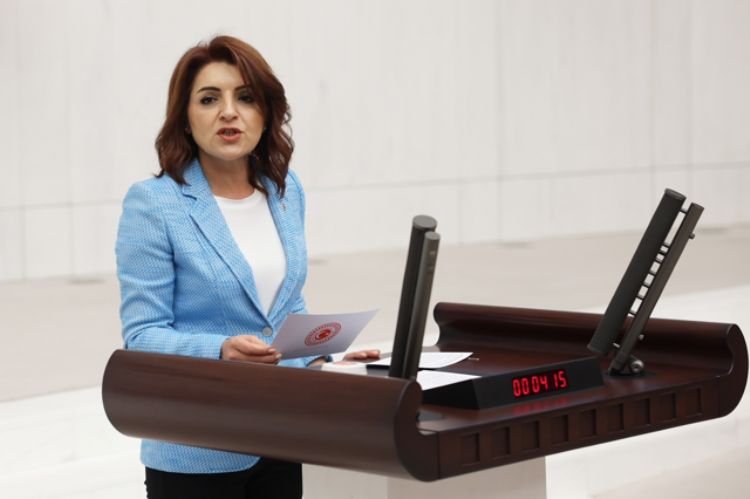 CHP Mersin Milletvekili Gülcan Kış, limon ithalatında gümrük vergisinin düşürülmesine