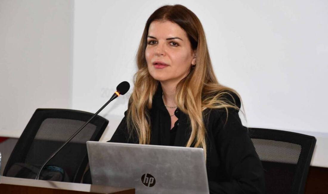 İskenderun Ticaret ve Sanayi Odası, Yerel Kalkınma Hamlesi Programı Uygulama