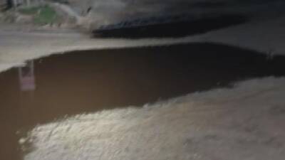 Hatay’ın Yayladağı ilçesinde 43 küçükbaş hayvan, taş ocağı önünde biriken