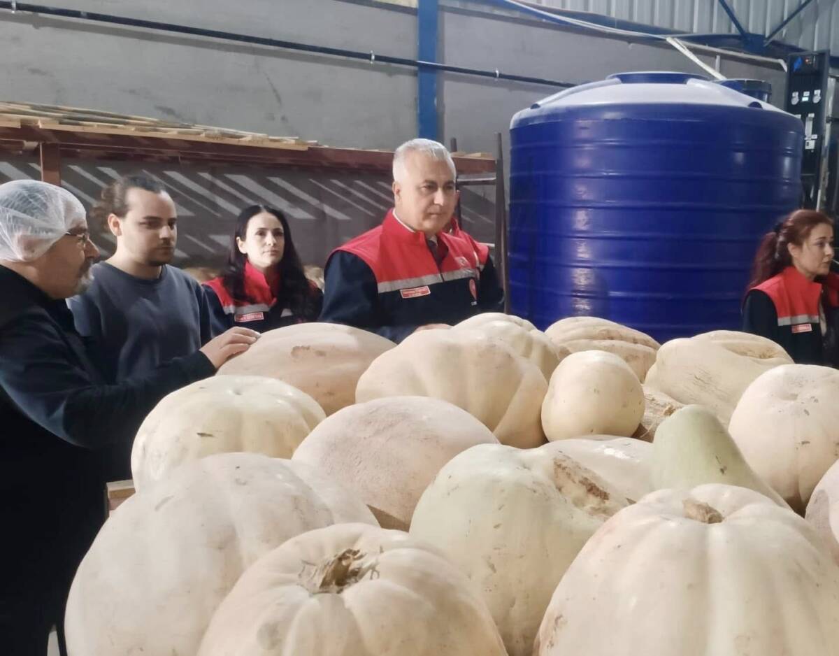 Hatay’ın coğrafi işaretli kabak tatlısına sıkı denetim