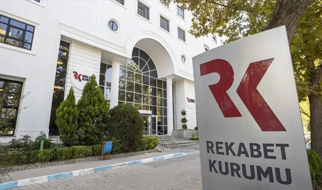 Denetim ve mali müşavirlik sektöründeki 65 teşebbüs ve meslek kuruluşuna