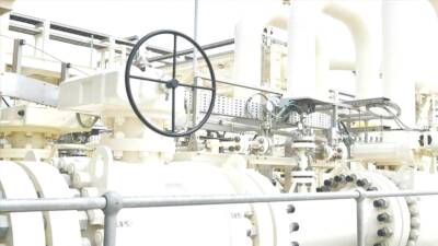 Türkiye Doğal Gaz Ağı 255 bin Km'ye ulaştı: enerji güvenliği