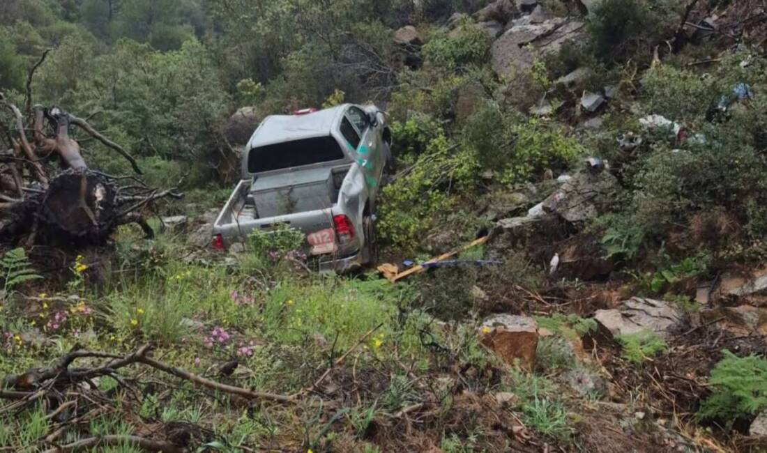 Hatay’ın Antakya ilçesine bağlı Serinyol Mahallesi’nde bulunan ormanlık alanda meydana